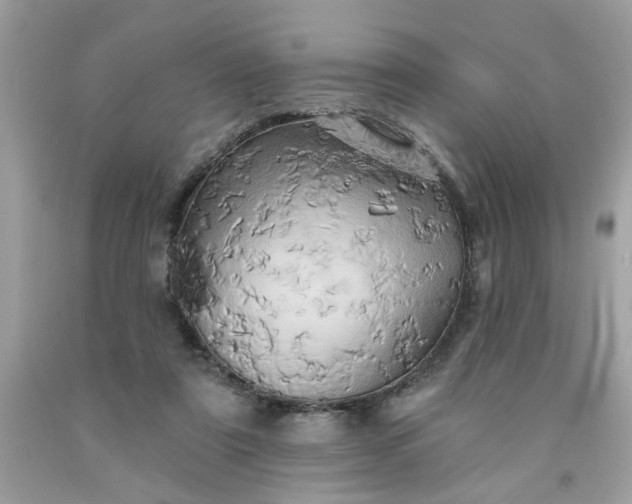 X0000091590307200709051127