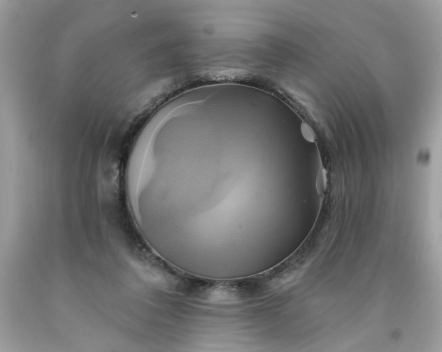 X0000091590308200709051127