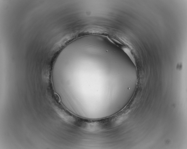 X0000091590309200709051127