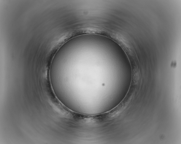 X0000091590310200709051127