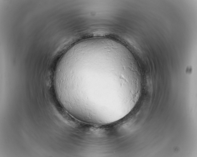 X0000091590311200709051127