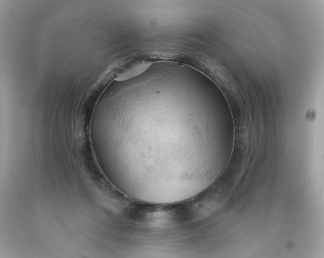 X0000091590312200709051127