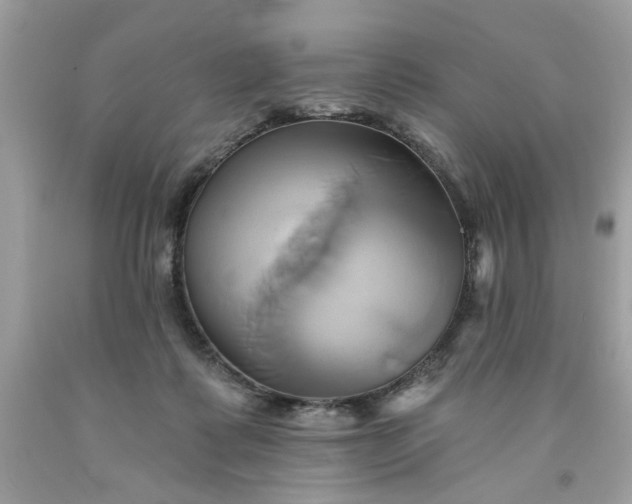 X0000091590315200709051127