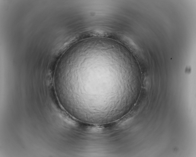 X0000091590318200709051127