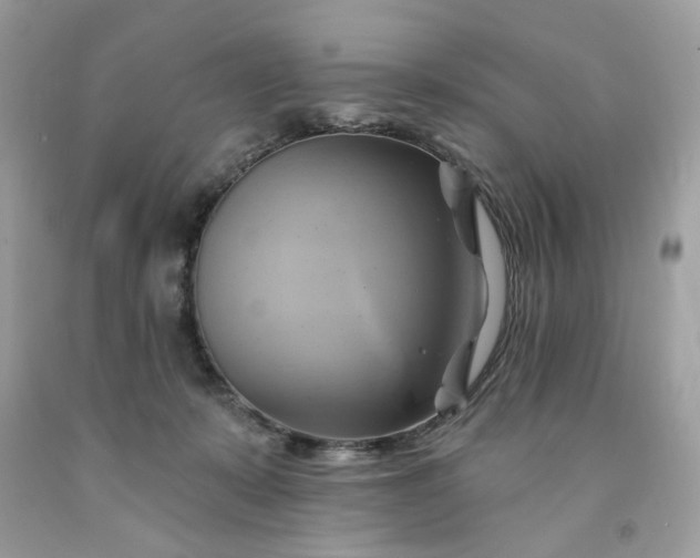 X0000091590319200709051127