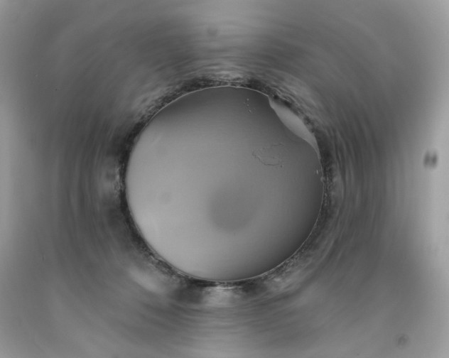 X0000091590320200709051127