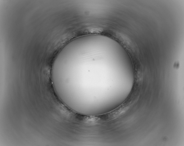 X0000091590321200709051127