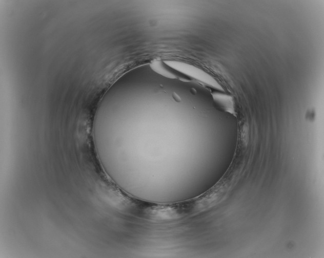X0000091590322200709051127