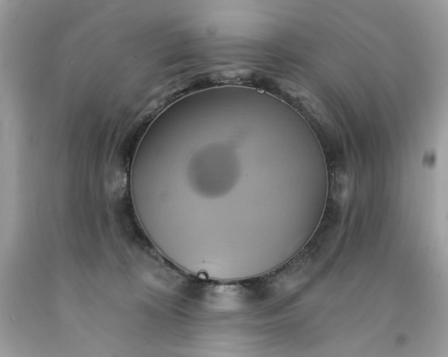 X0000091590324200709051127