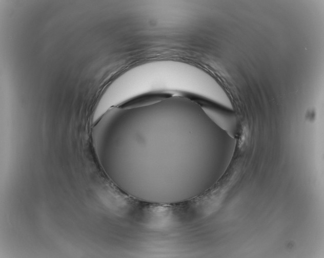 X0000091590325200709051127