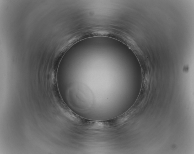 X0000091590330200709051127