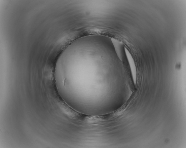 X0000091590331200709051127