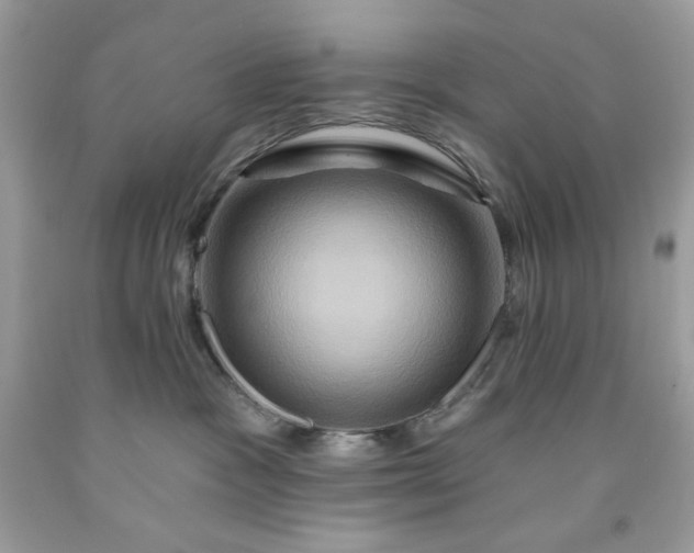 X0000091590333200709051127