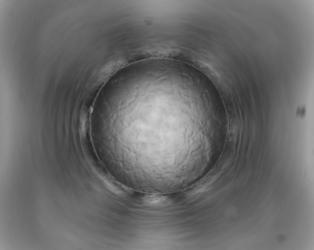 X0000091590334200709051127