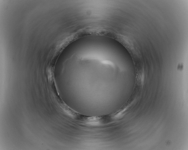 X0000091590335200709051127