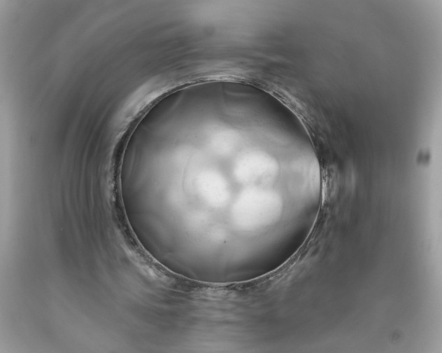X0000091590339200709051126