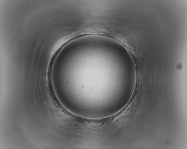 X0000091590340200709051126
