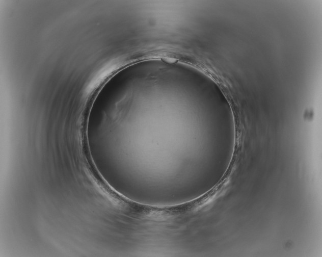 X0000091590341200709051126