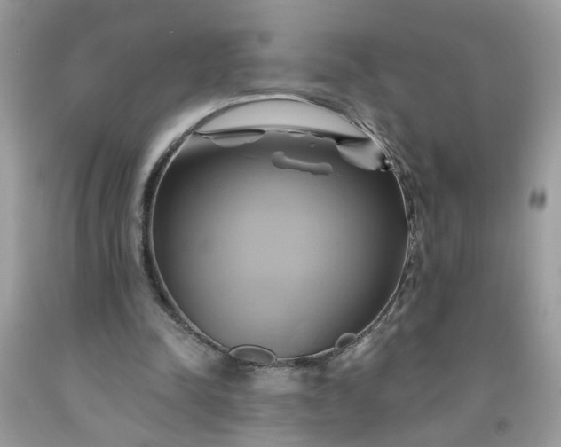X0000091590342200709051126