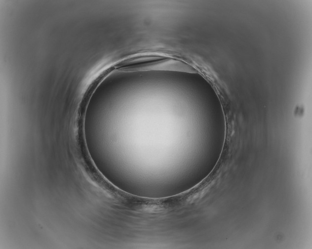 X0000091590344200709051126