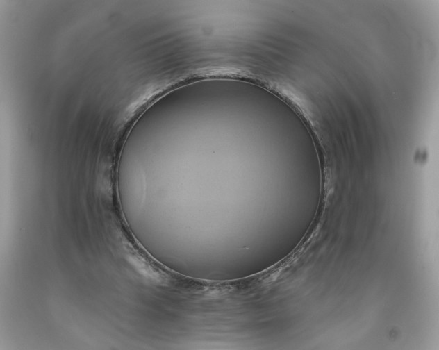 X0000091590345200709051126