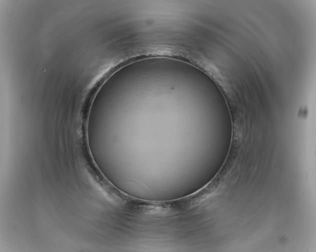 X0000091590347200709051126