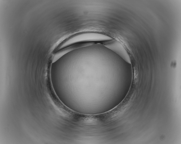 X0000091590348200709051126