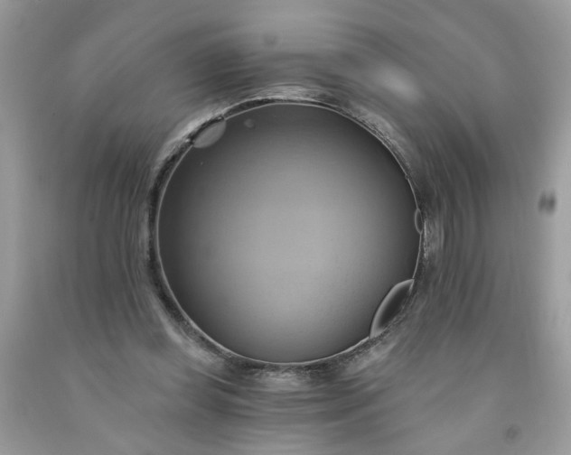 X0000091590349200709051126