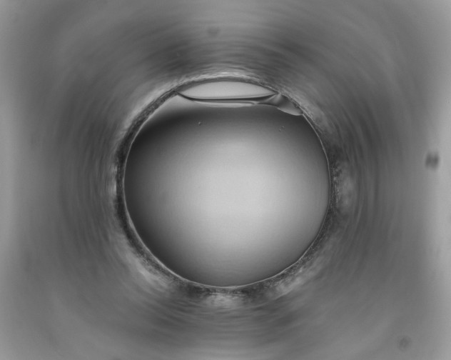X0000091590350200709051126
