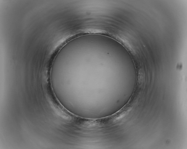 X0000091590351200709051126
