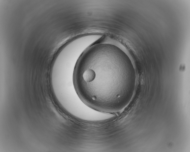 X0000091590352200709051126