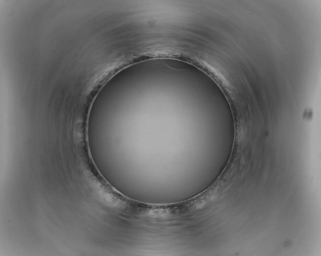 X0000091590353200709051126