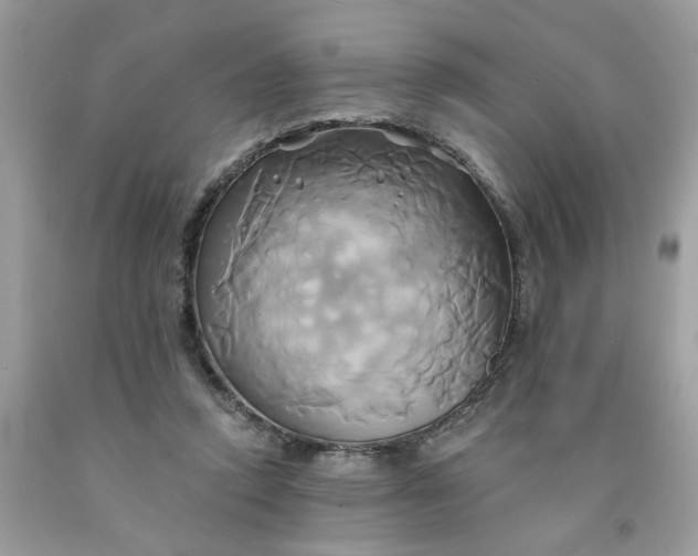 X0000091590354200709051126