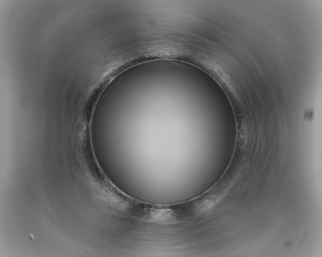 X0000091590355200709051126