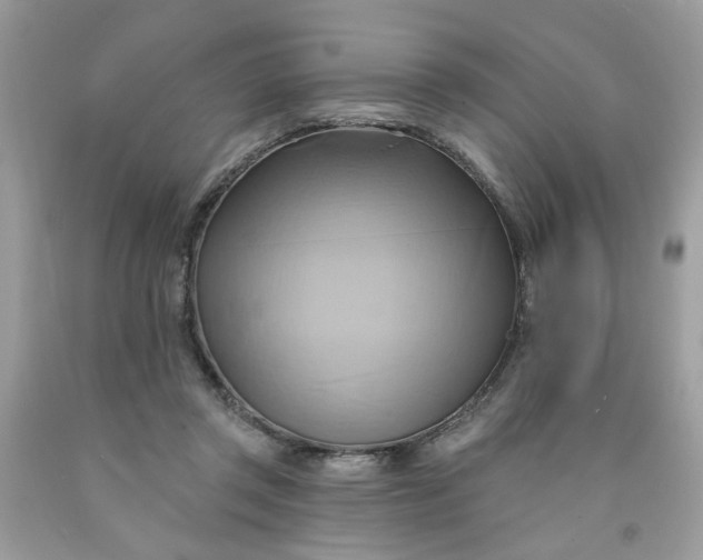 X0000091590357200709051126