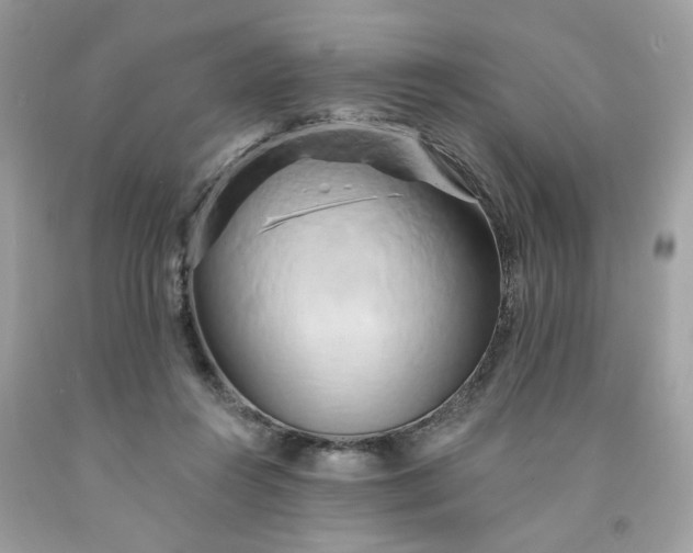 X0000091590360200709051126