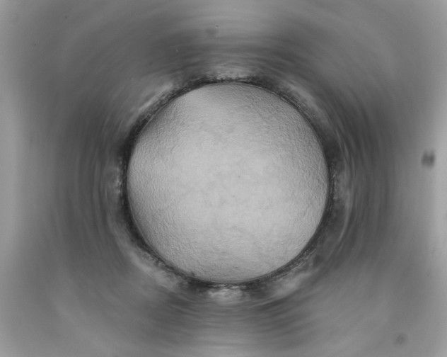 X0000091590362200709051126