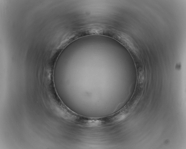 X0000091590363200709051126
