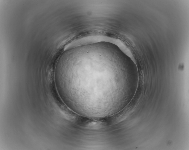 X0000091590364200709051126
