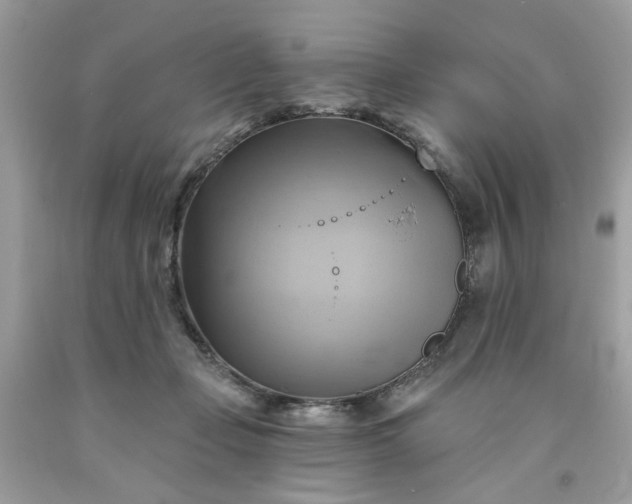 X0000091590365200709051126