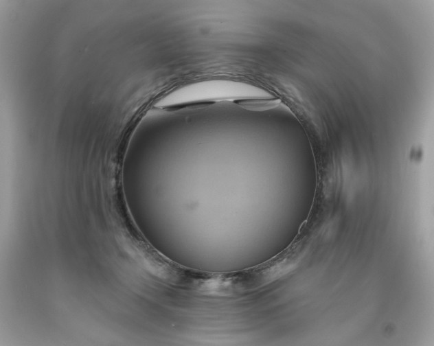 X0000091590366200709051126
