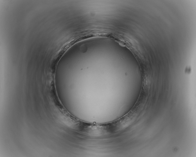 X0000091590367200709051126
