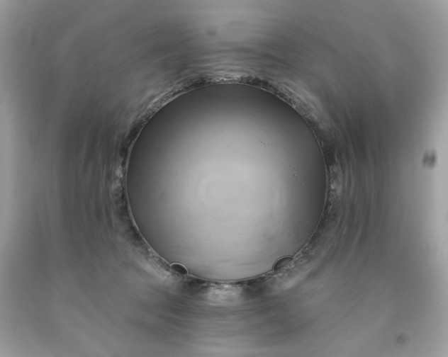 X0000091590369200709051126
