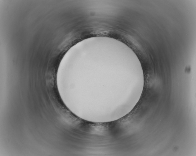 X0000091590370200709051126