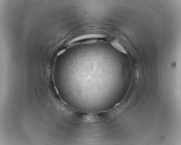 X0000091590372200709051126
