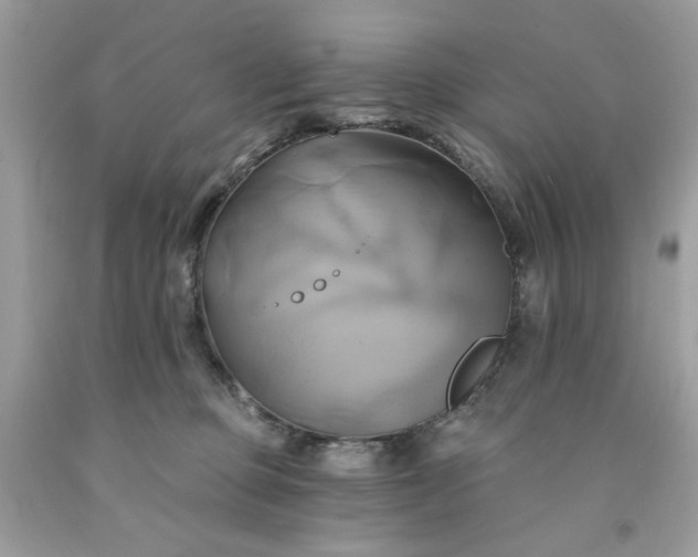 X0000091590373200709051126