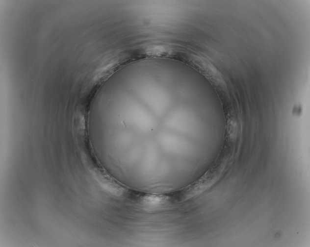 X0000091590375200709051126