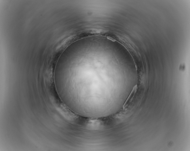 X0000091590376200709051126