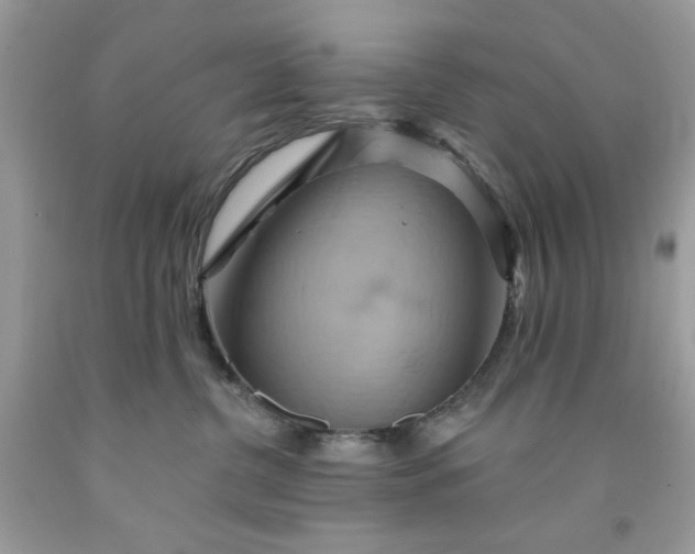 X0000091590380200709051127