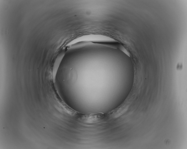 X0000091590384200709051127